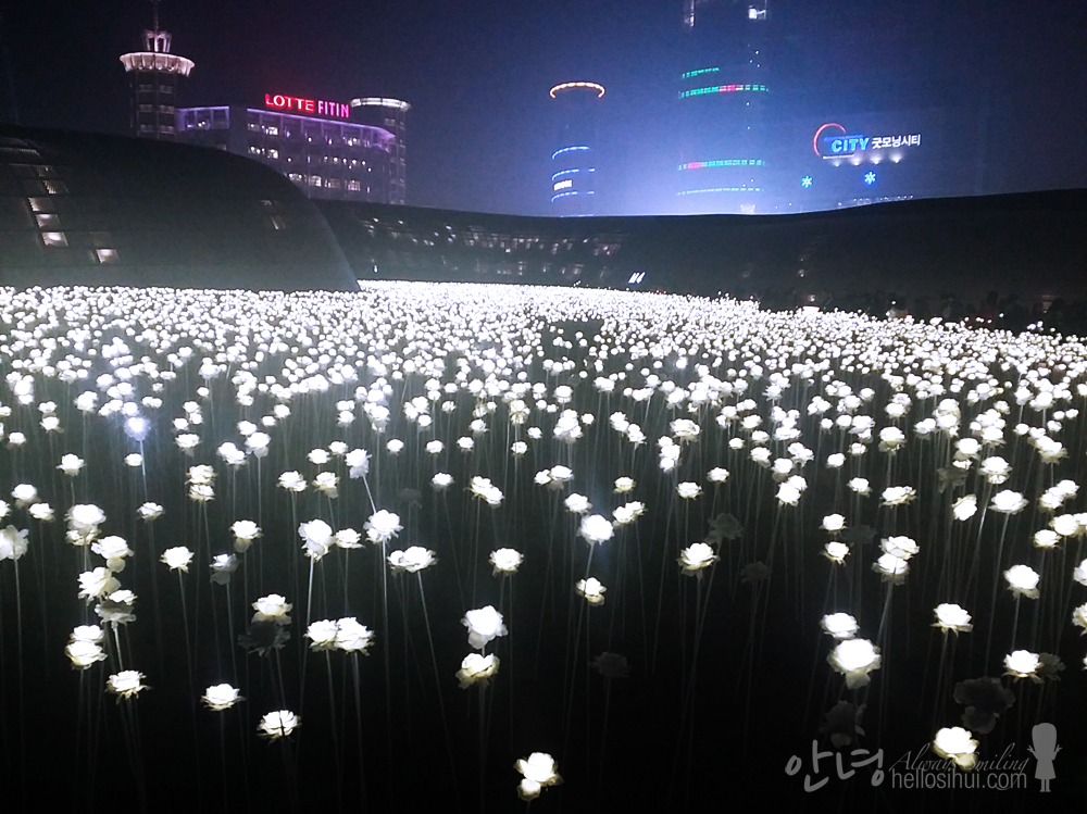 Dongdaemun Design Plaza LED Rose Garden