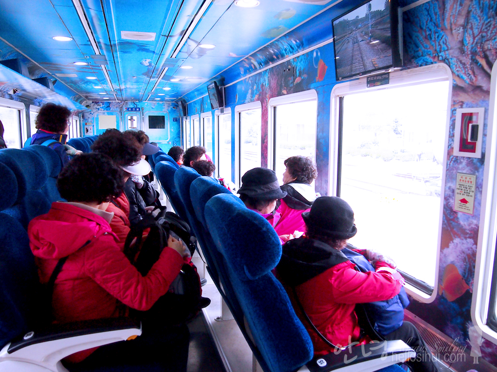 Gangwon Day Trip: Sea Train (바다열차)