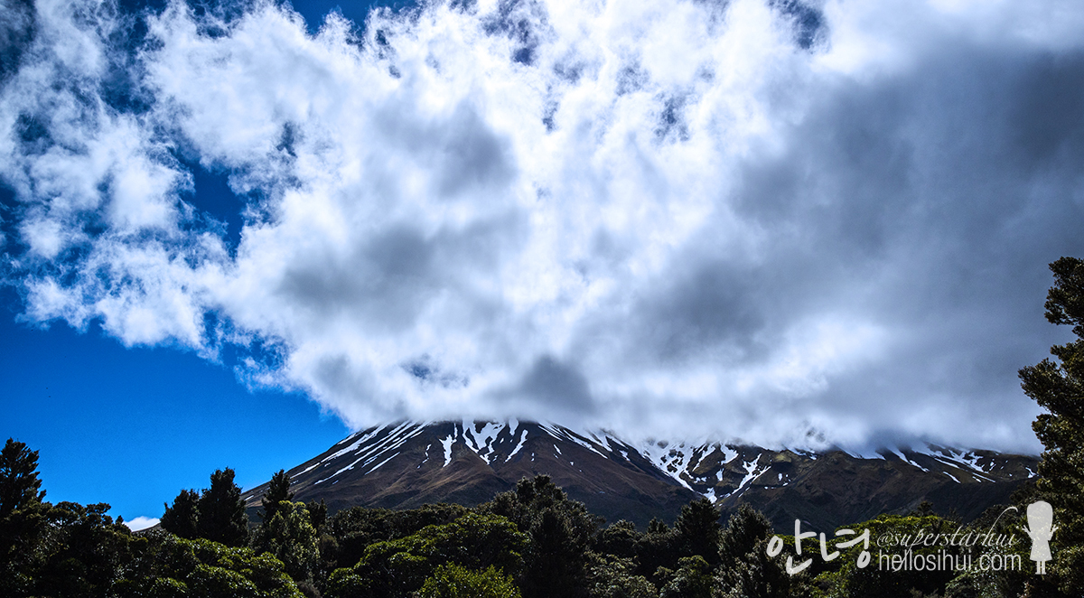 [#fly2NZ] New Zealand Day 7
