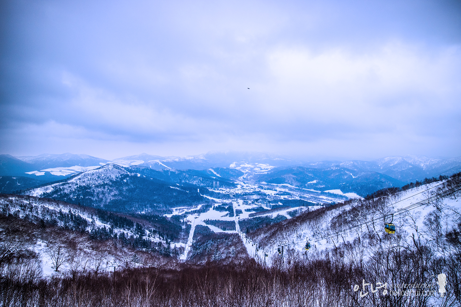 Сибирь хоккайдо новосибирск. Климат Хоккайдо. Сибирь Хоккайдо зима. Tomamu Ski Resort Hokkaido Japan. Дорога в хвойном лесу на севере Хоккайдо.