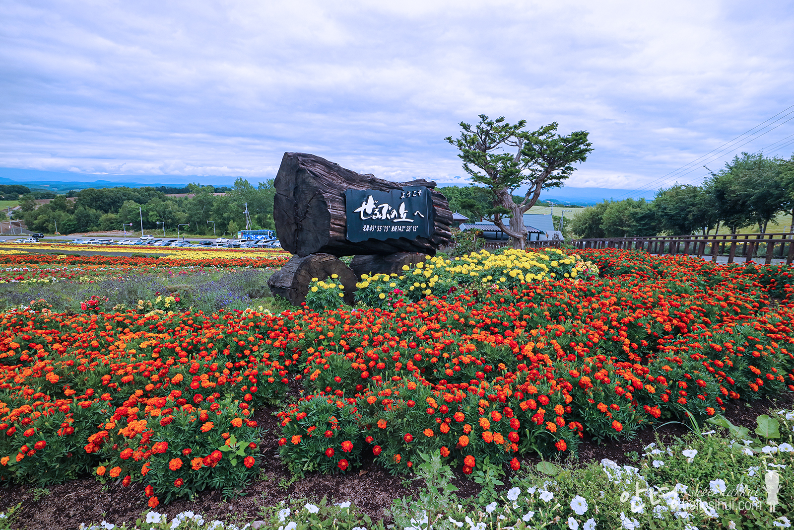 SUMMER HOKKAIDO 2018 – DAY 4: Junpei + Zerubu-no-oka