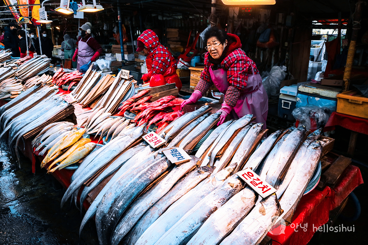HELLO KOREA 2022/2023 DAY 4: BUSAN – Jagalchi Fish Market, Nambo Hotteok, and Bye Busan!