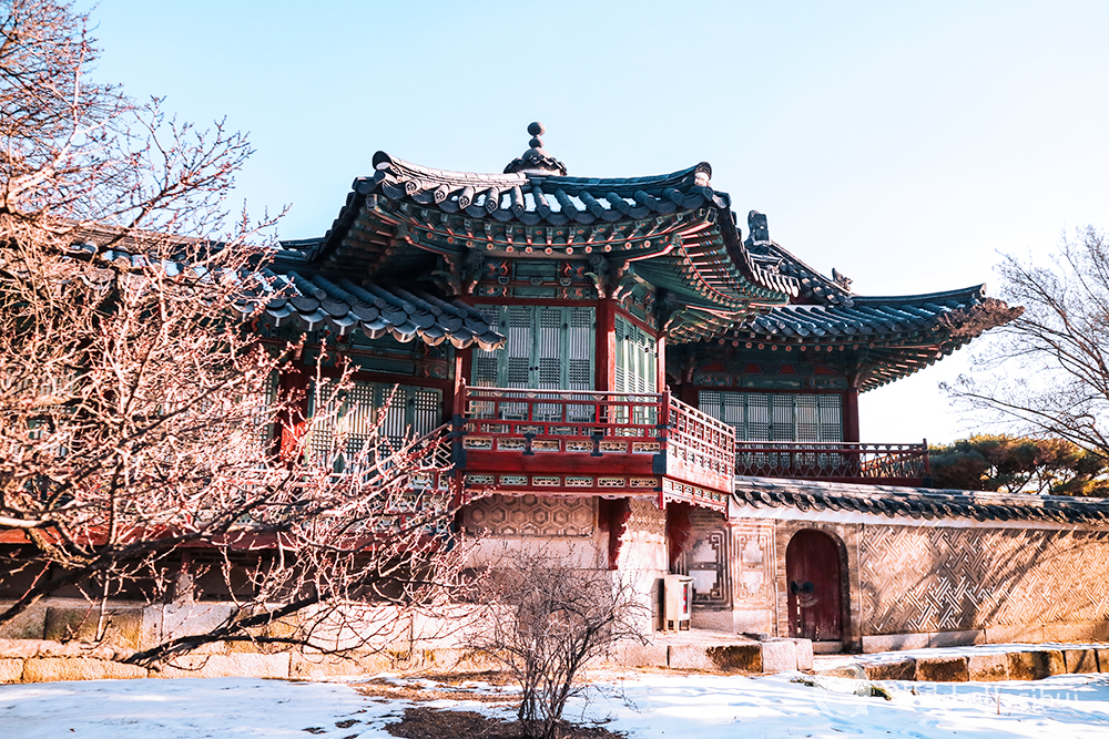HELLO KOREA 2022/2023: Donhwamun Gate 창덕궁 돈화문 昌德宮 敦化門